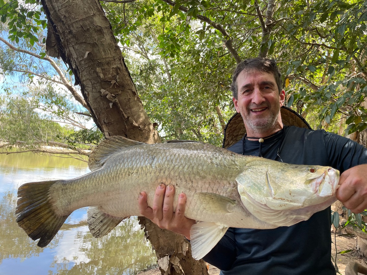 Barramundi Archer River Billabong