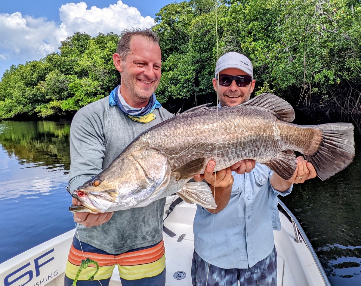 Barramundi Catch Archer River Ultimate Adventure