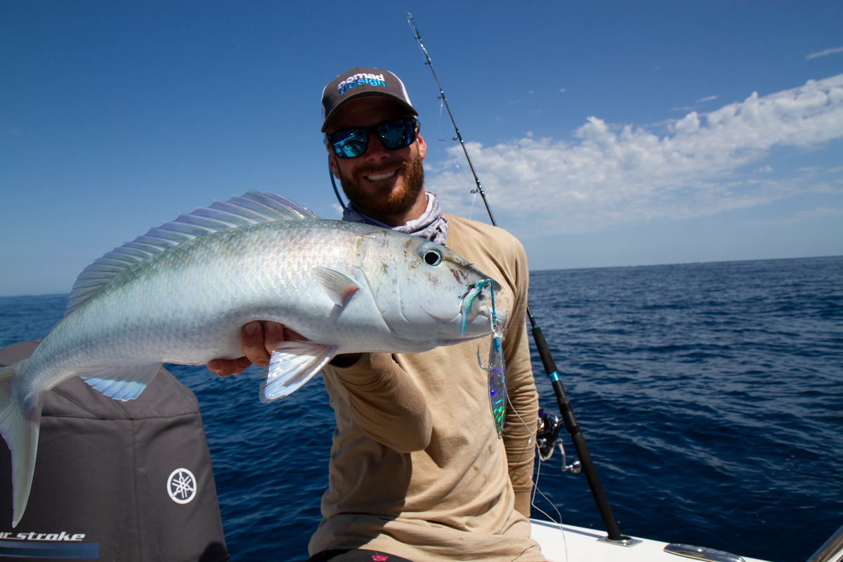 Jobfish Bluewater Fishing