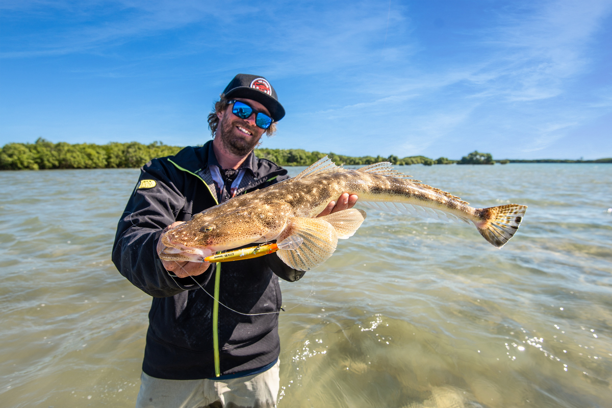 Large Flathead Archer River