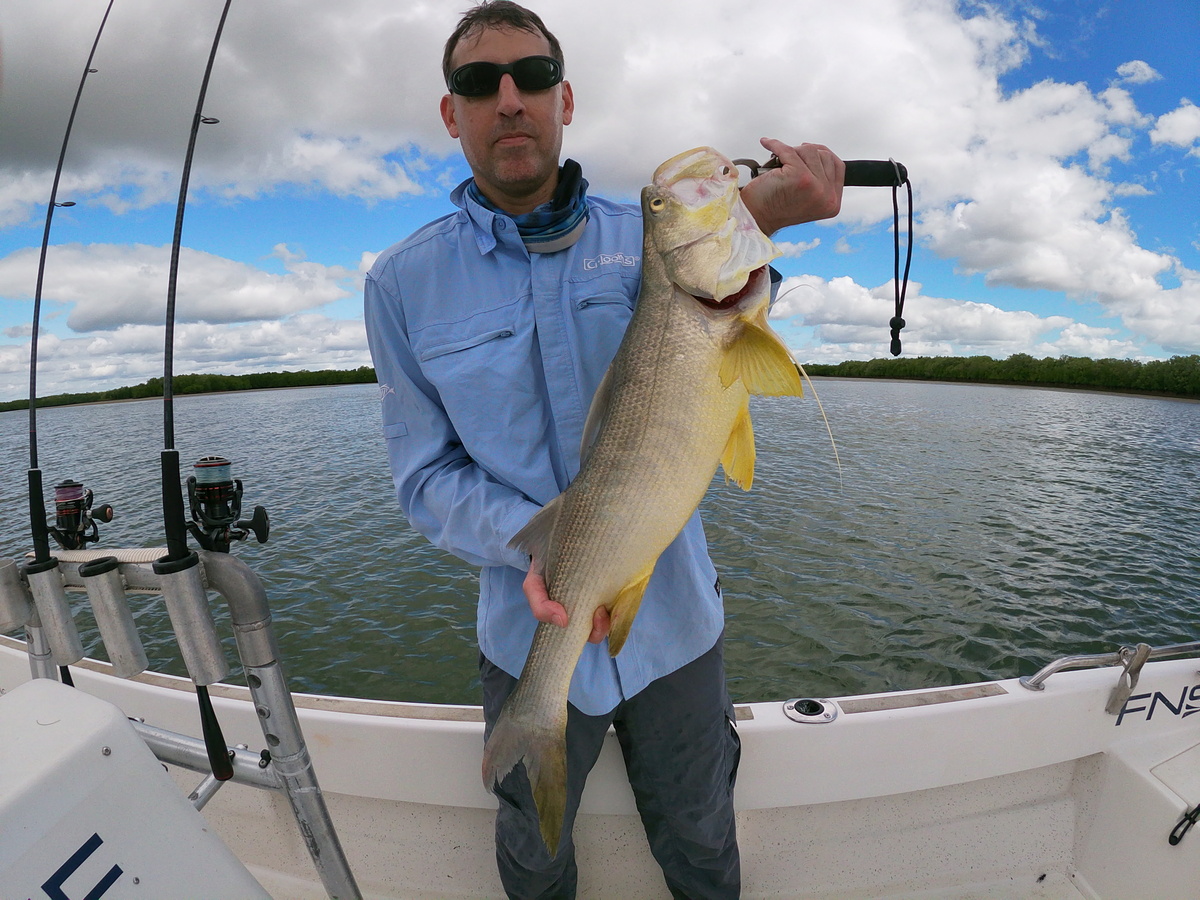 Threadfin Salmon Archer River