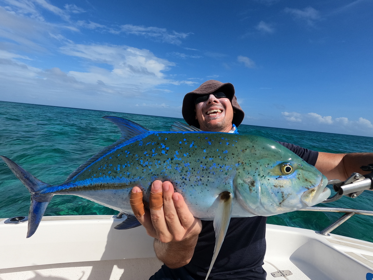 Blue Trevally Flats Fishing