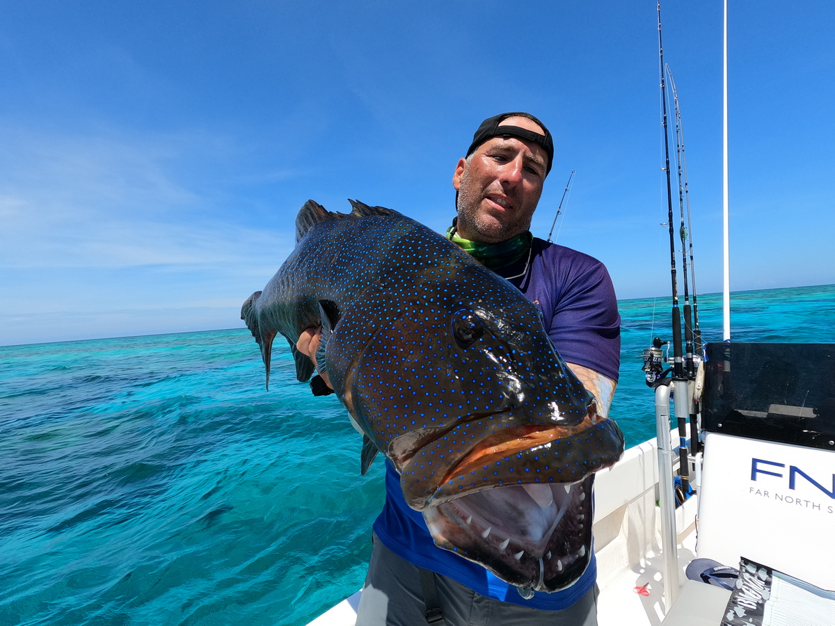 Coral Trout Flats Fishing