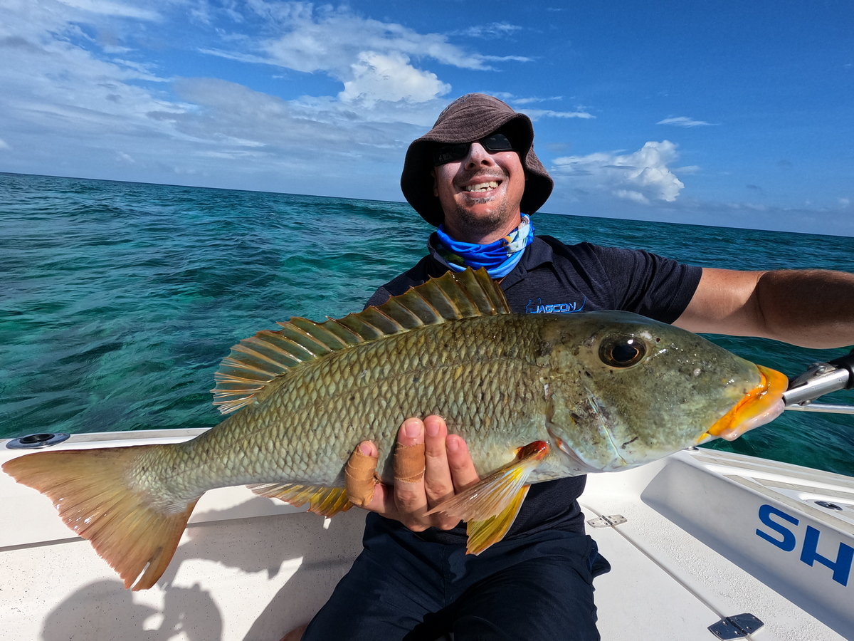 Yellow Lip Emperor Flats Fishing