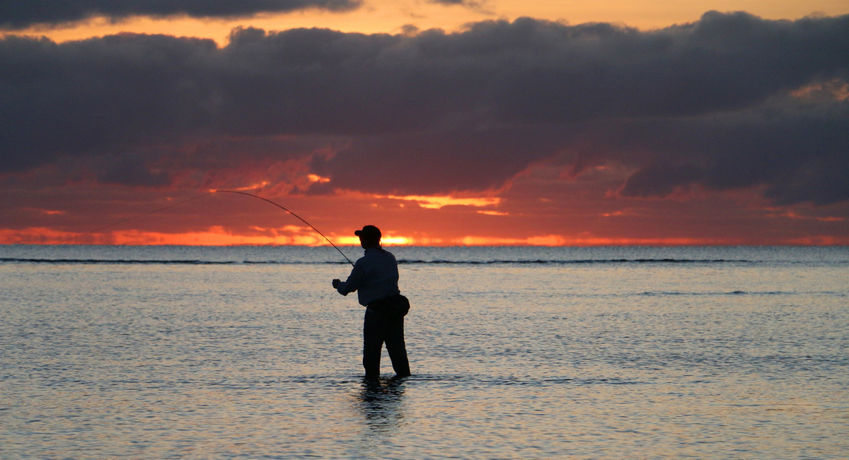 Reef Fly Fishing 