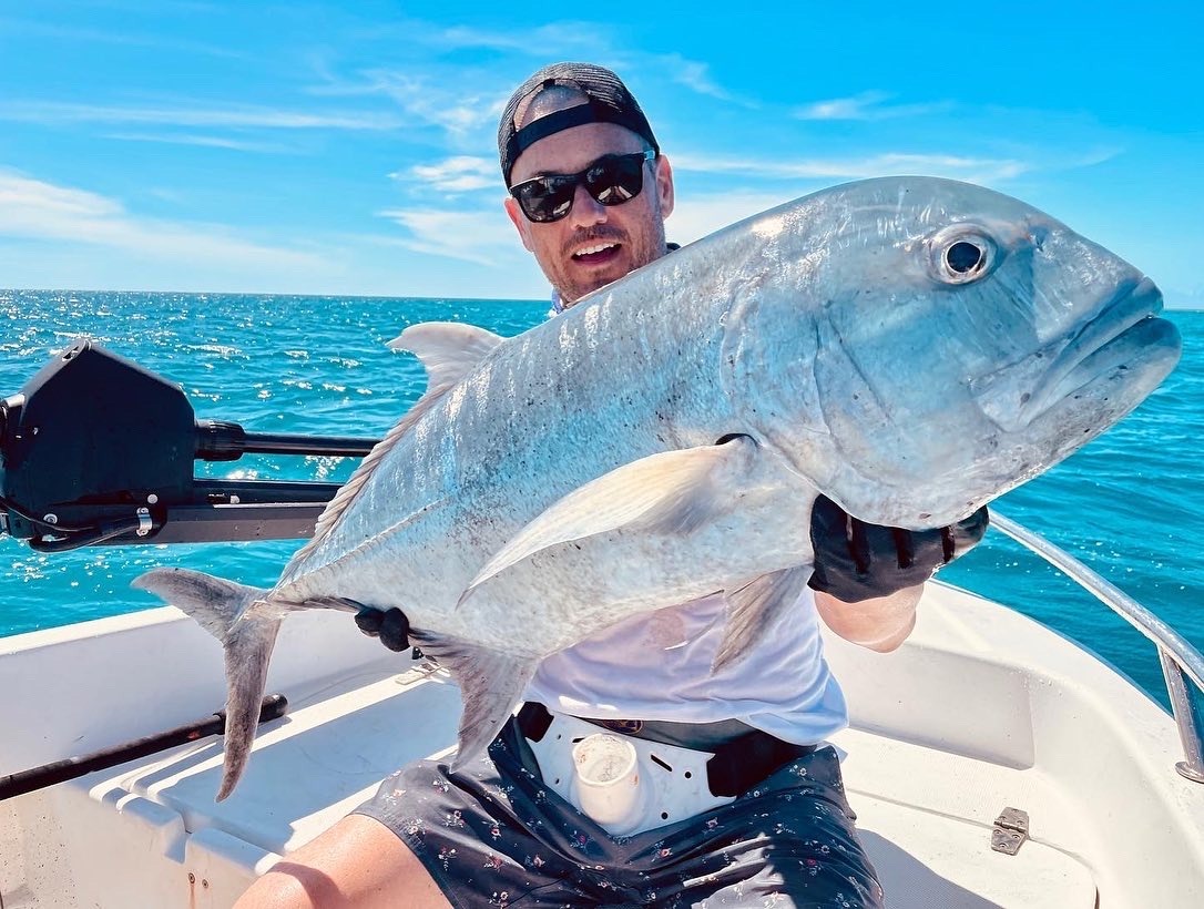 Giant Trevally Bligh Reef