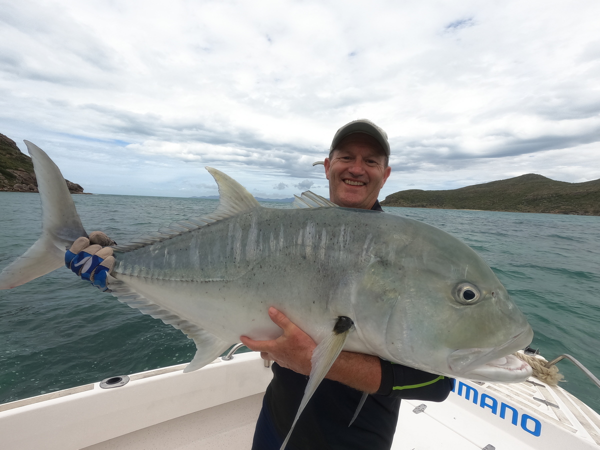 Giant Trevally Flinders Group