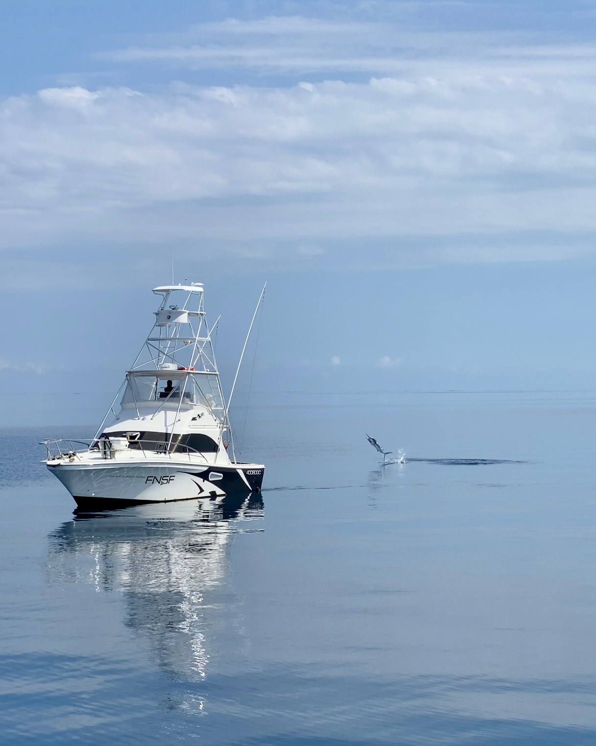 Black Marlin on Black Magic