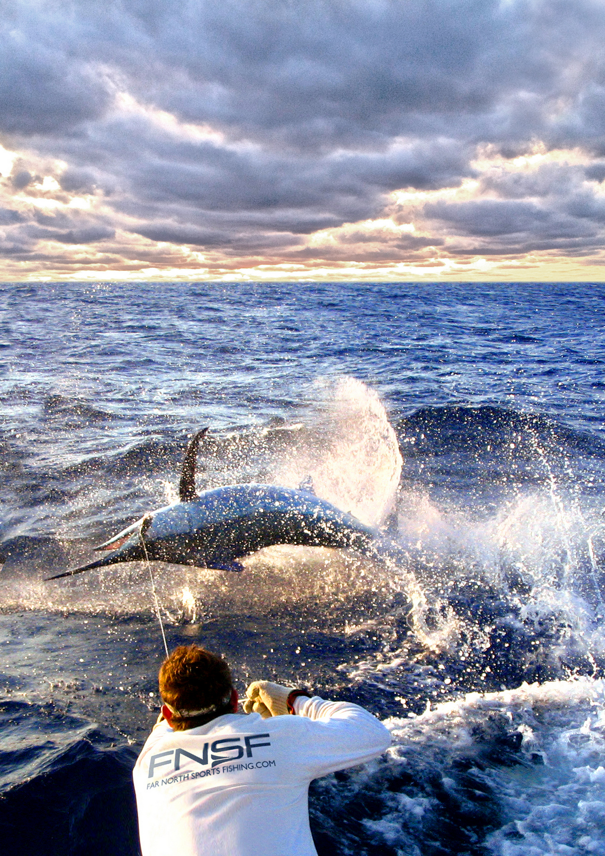 Gamefishing on Black Magic for Marlin