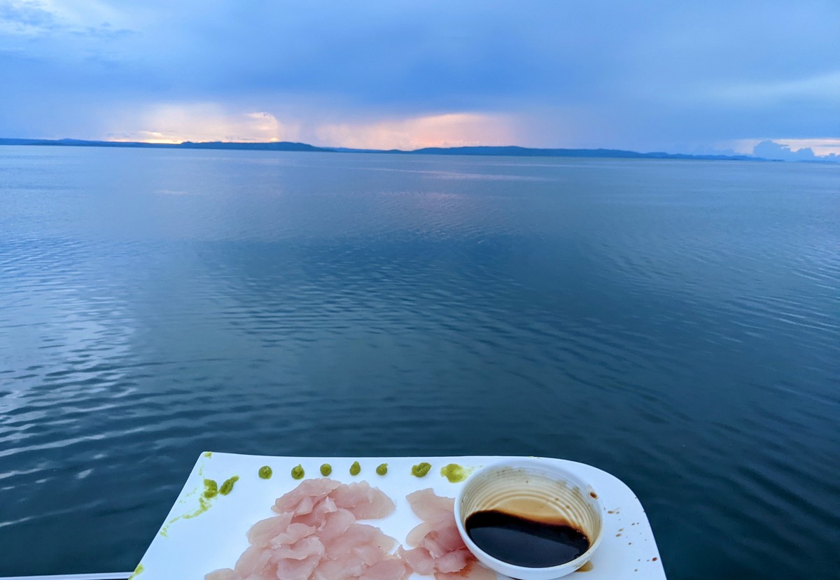 Sashimi Platter with a view