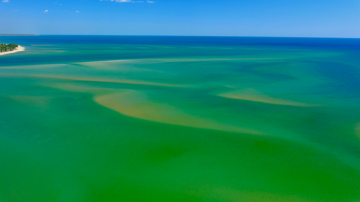 Jackson River Mouth