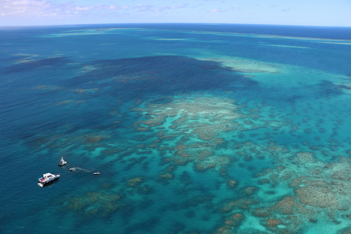 Great Barrier Reef View