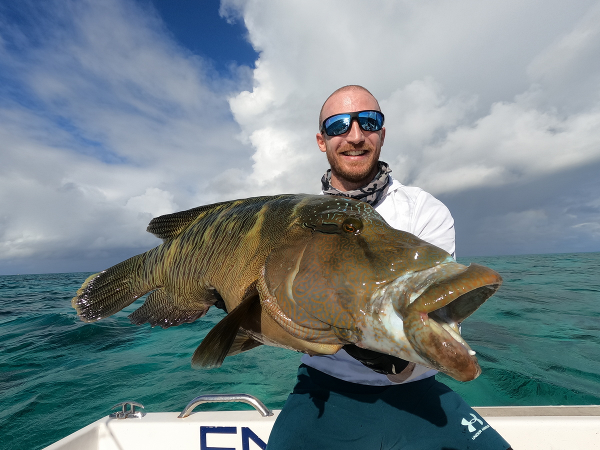 Maori Wrasse Topwater Fishing