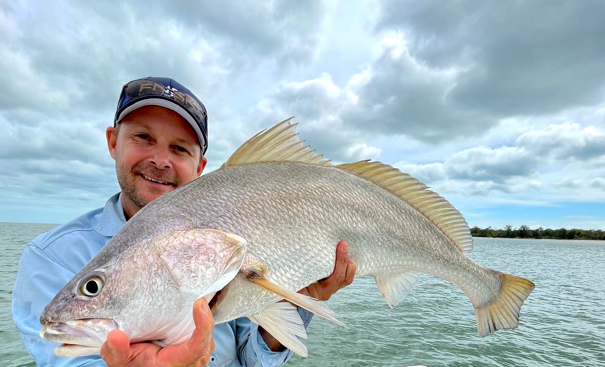 Jewfish Archer River