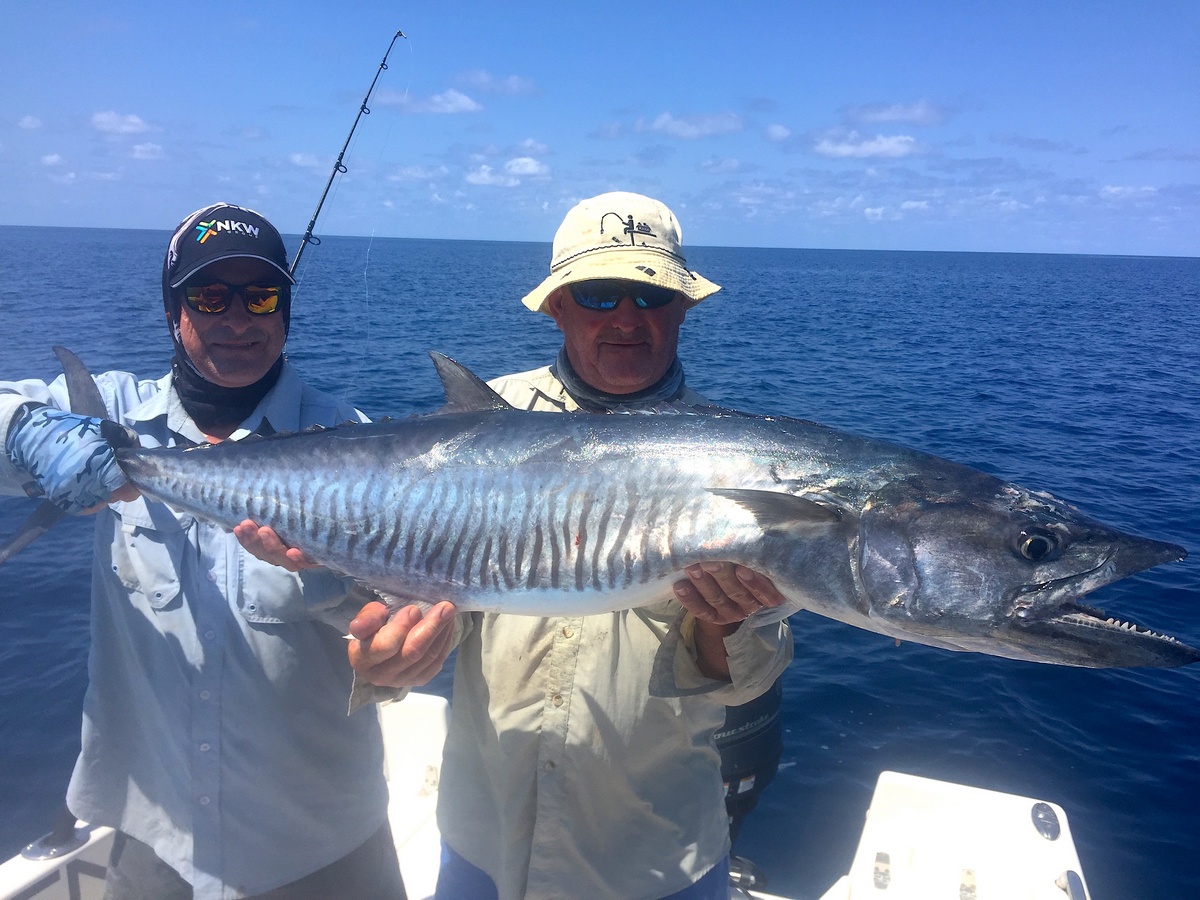 Mackerel Caught at Bligh Reef