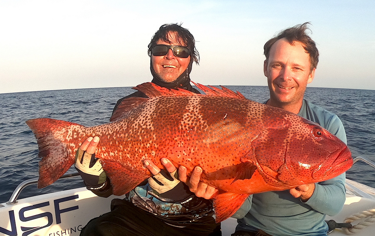 Dino Trout Escape Reef Great Barrier Reef Sportfishing