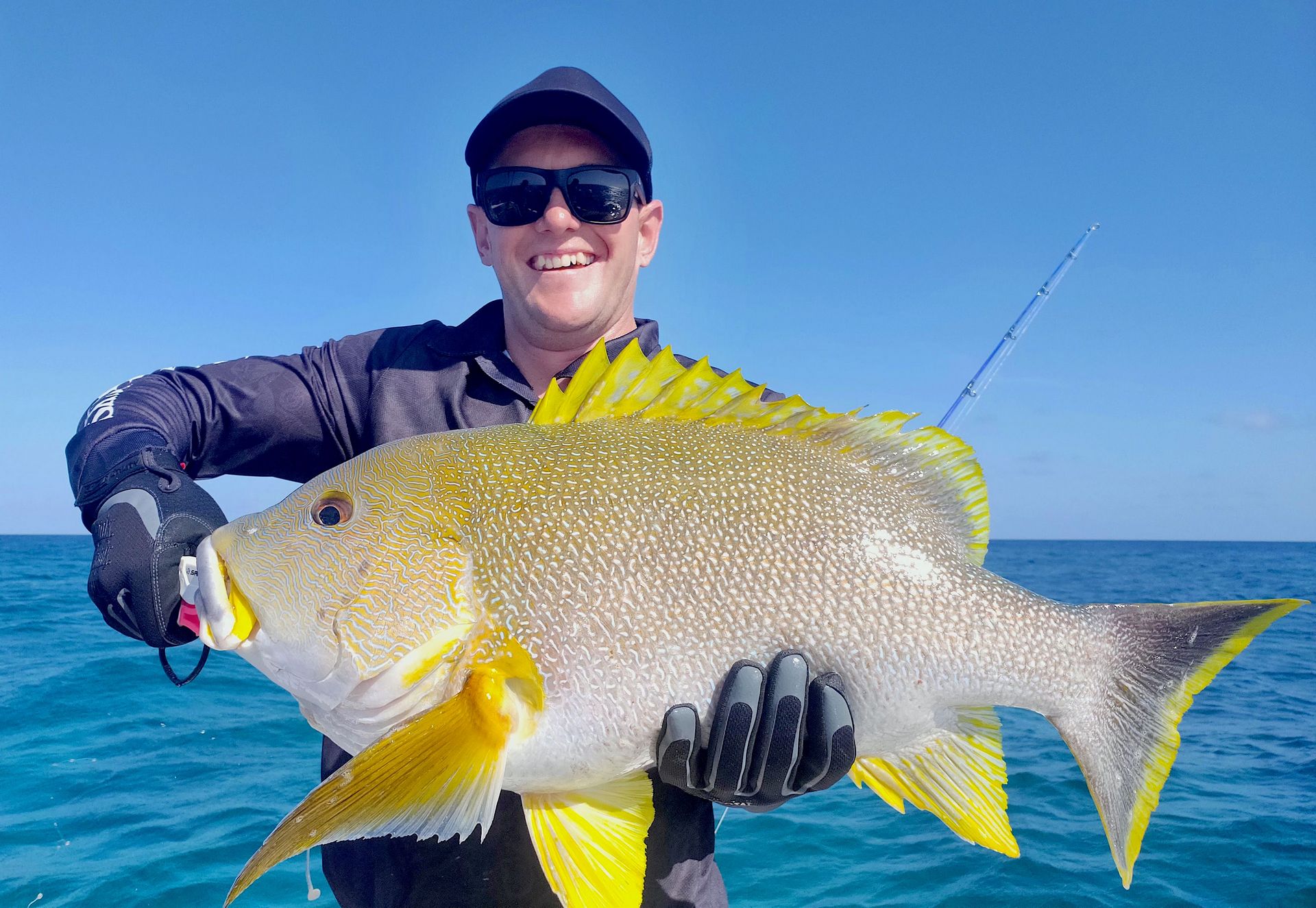 Maori Sea Perch Escape Reef