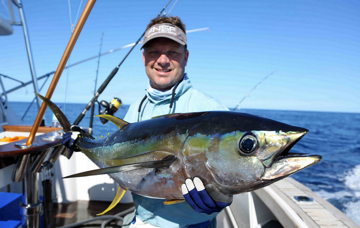 Yellowfin Tuna Jewell Reef