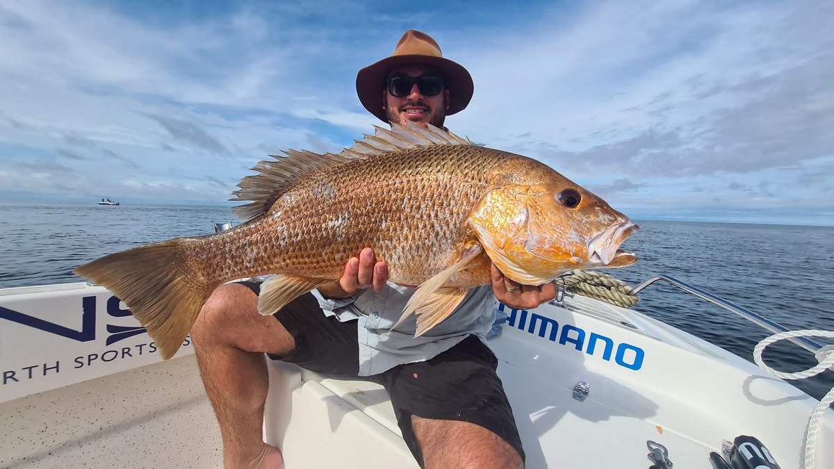 Fingermark Margaret Bay Remote Fishing Charters Fingermark Margaret Bay Remote Fishing Charters