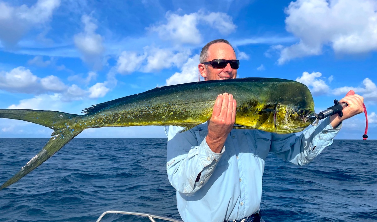 Mahi Mahi Forbes Island