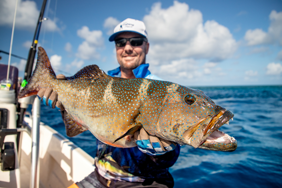 Coral Trout Caught Ribbon Reef Fishing
