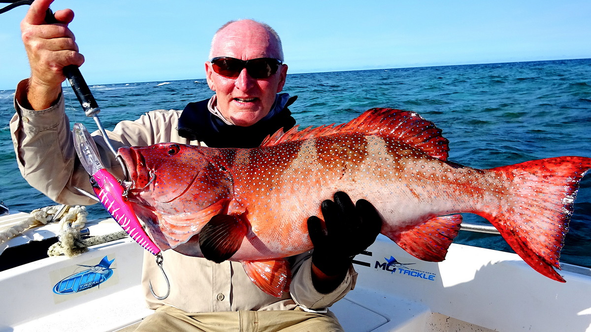 Coral Trout Caught During Great Barrier Reef Fly Fishing