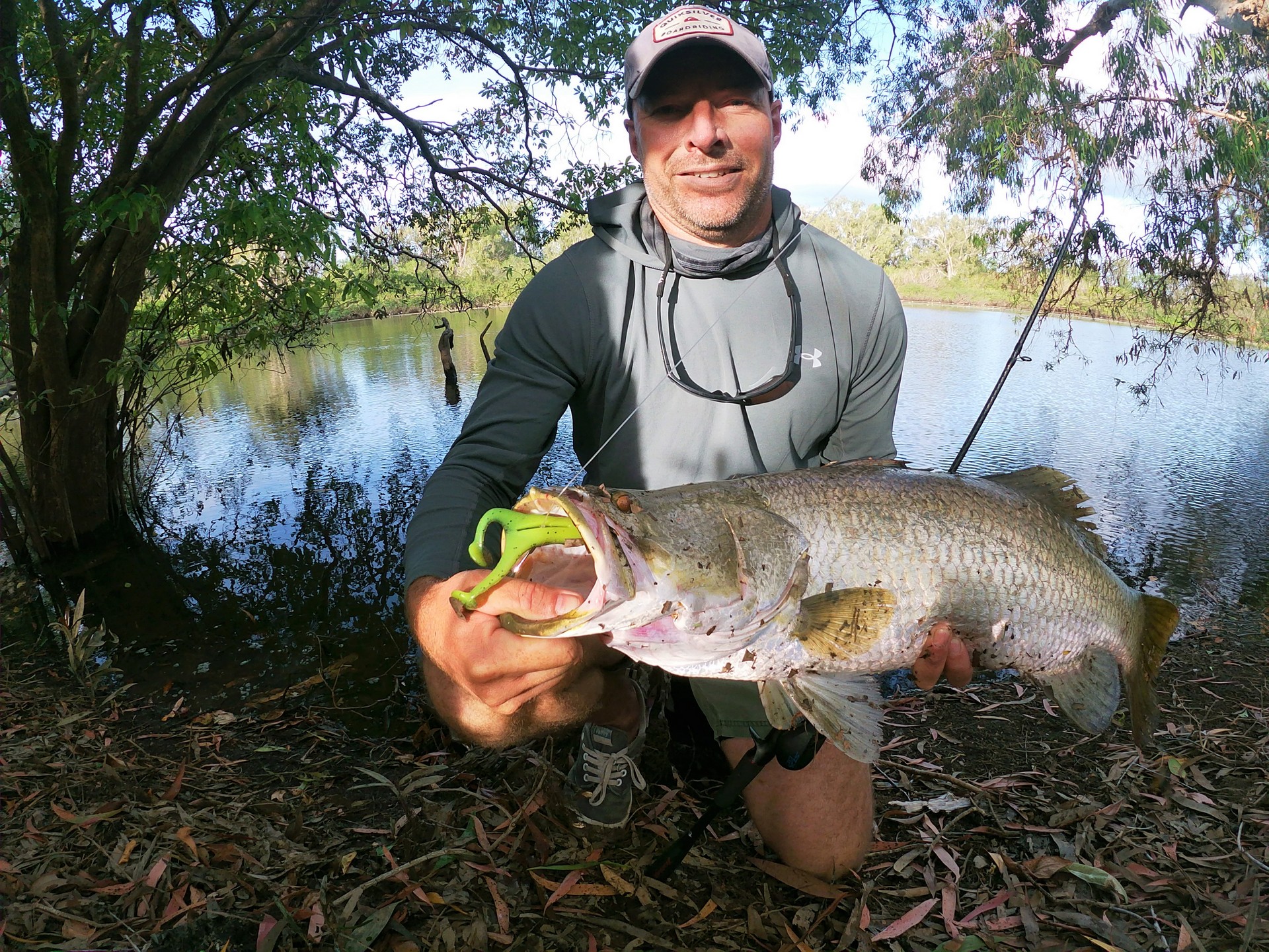 Barramundi Fish Caught on Soft Plastic