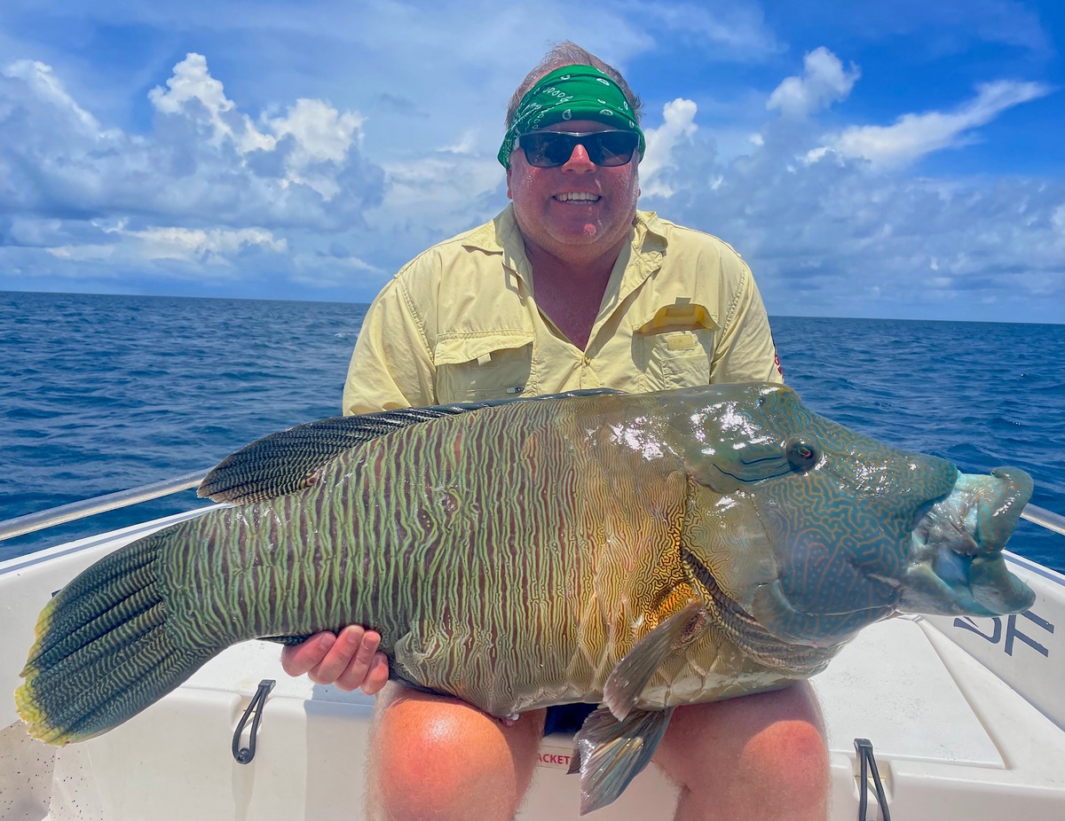 Maori Wrasse Slow Pitch Jigging with FNSF-NOMAD