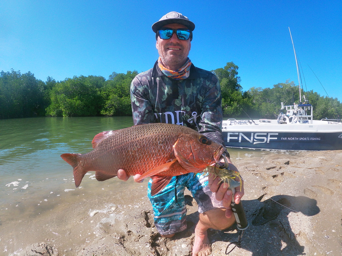 Mangrove Jack Caught on the Archer River