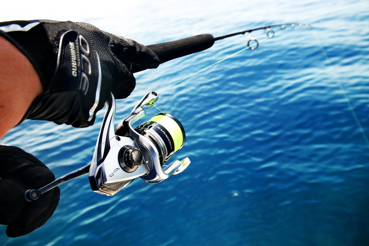 Shimano Saragosa Reel