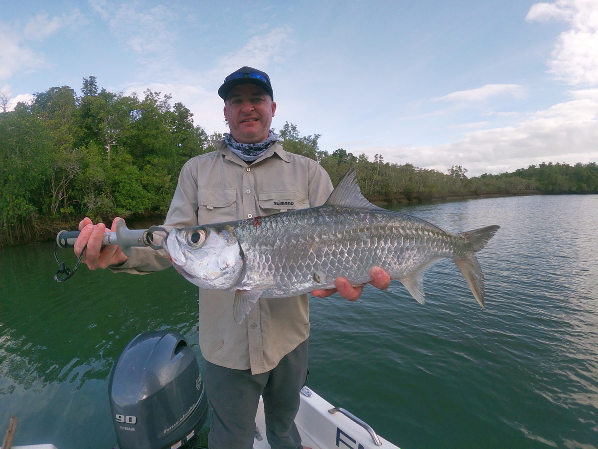 Tarpon Caught When Estuary Spinning with FNSF-NOMAD