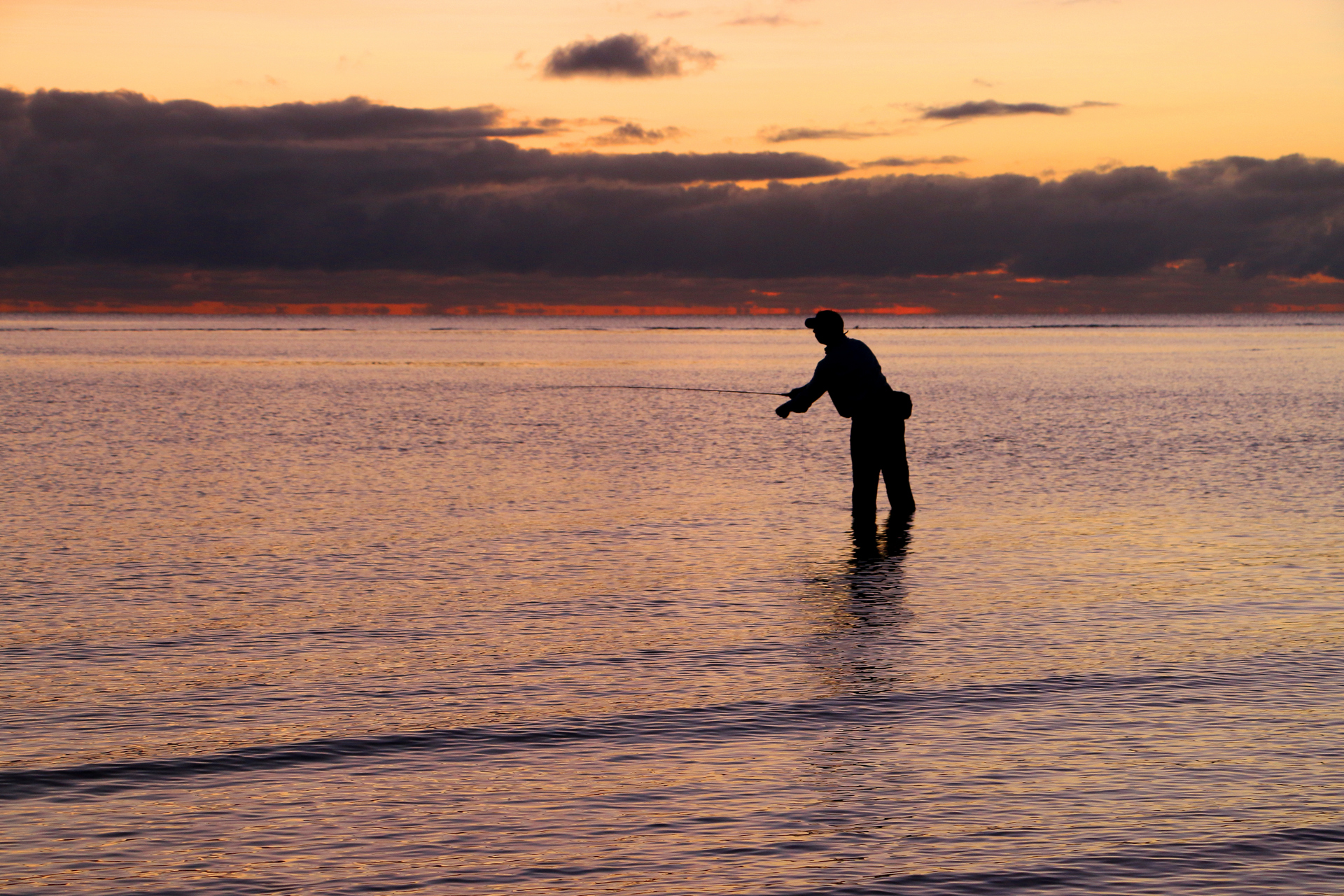 Fly Fishing Ocean with FNSF-NOMAD
