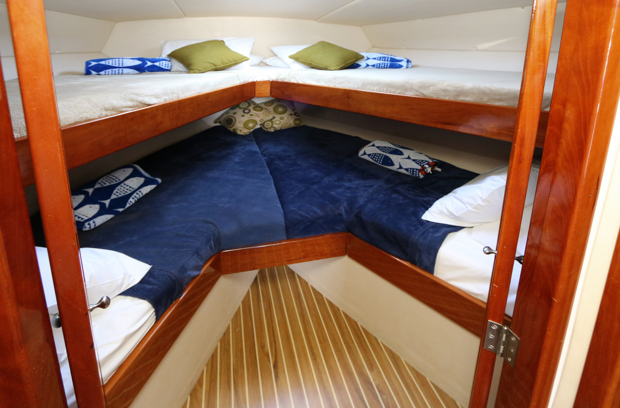 Black Magic Interior Cabin Black Magic Interior Cabin