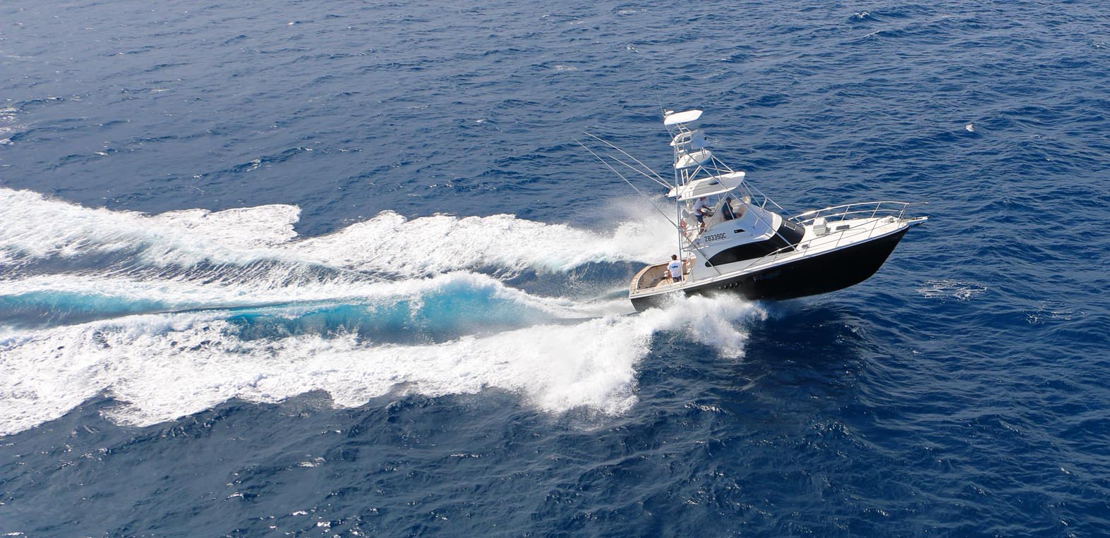 Black Marlin Fishing Port Douglas