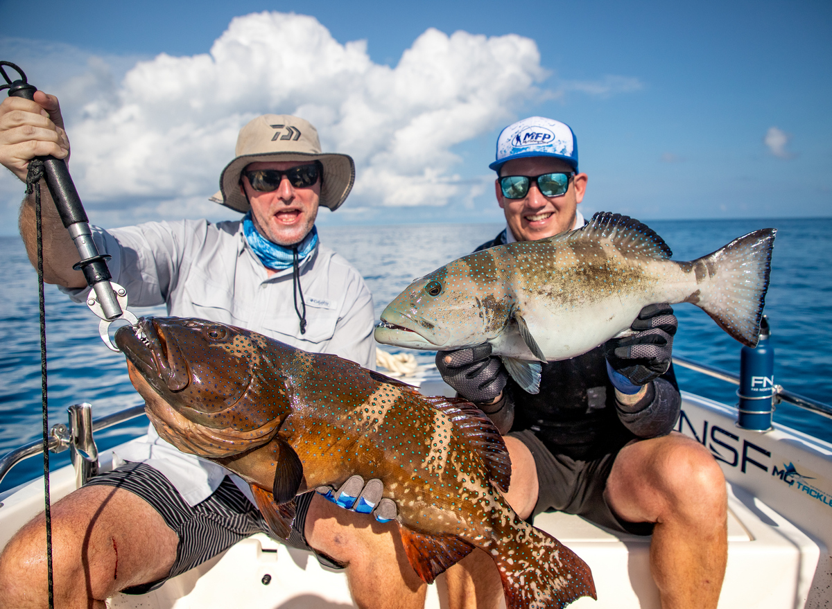 Coral Trout on FNQ Fishing Charter Coral Trout on FNQ Fishing Charter