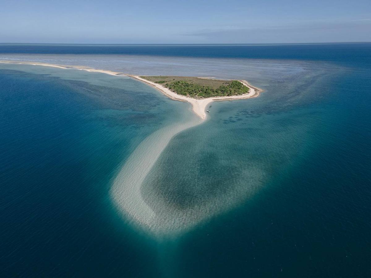 Fife Island Fishing Lizard Island