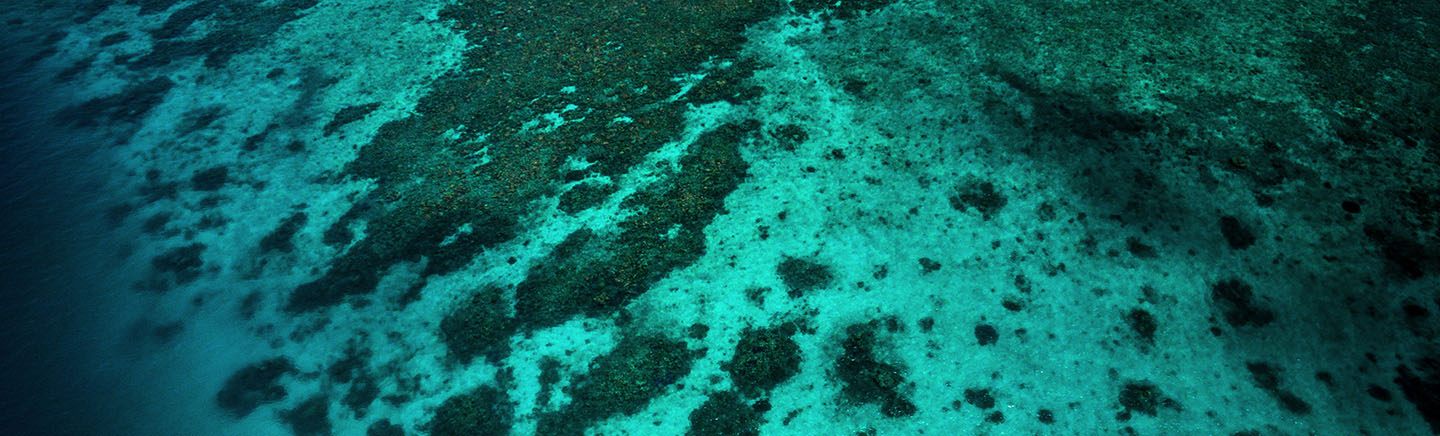 Fishing Lizard Island Reefs Fishing Lizard Island Reefs