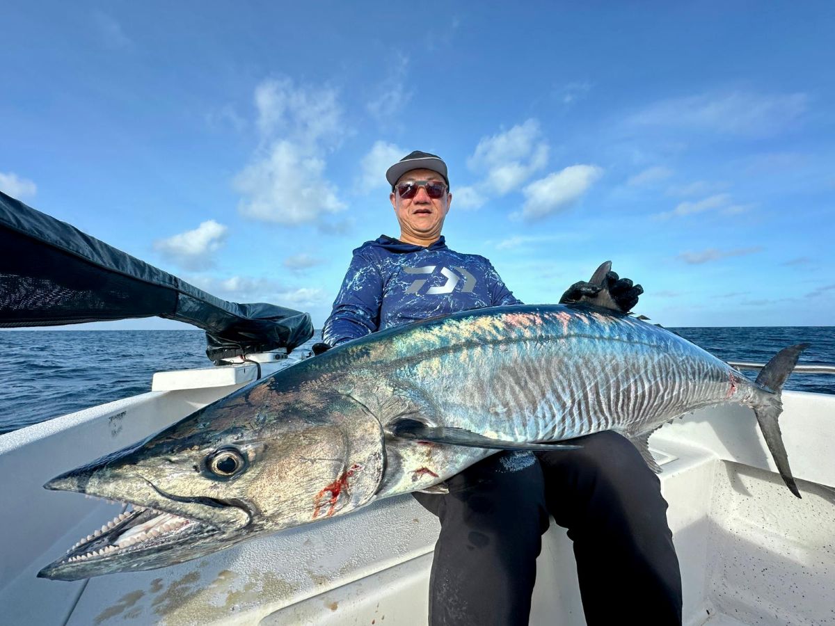 Wahoo Fishing Torres Strait