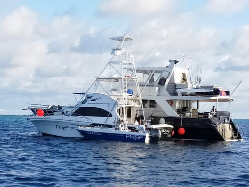 remote pristine location far north queensland fishing charter