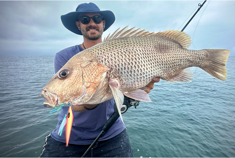 Hige Mangrove Jack caught in Cape York Huge Mangrove Jack caught in Cape York